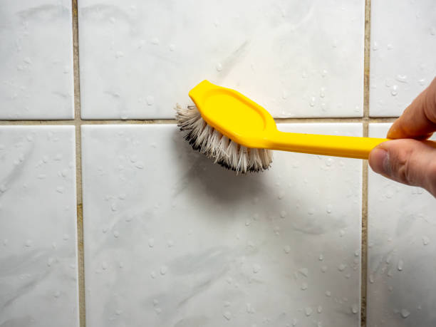 Best Toxic Mold Removal  in Jamaica Beach, TX