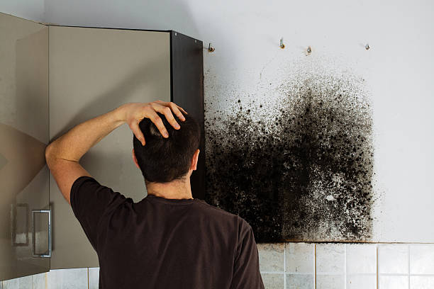 Best Office Mold Removal Services  in Jamaica Beach, TX