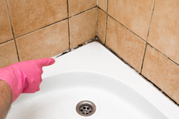 Best Local Mold Removal Service  in Jamaica Beach, TX